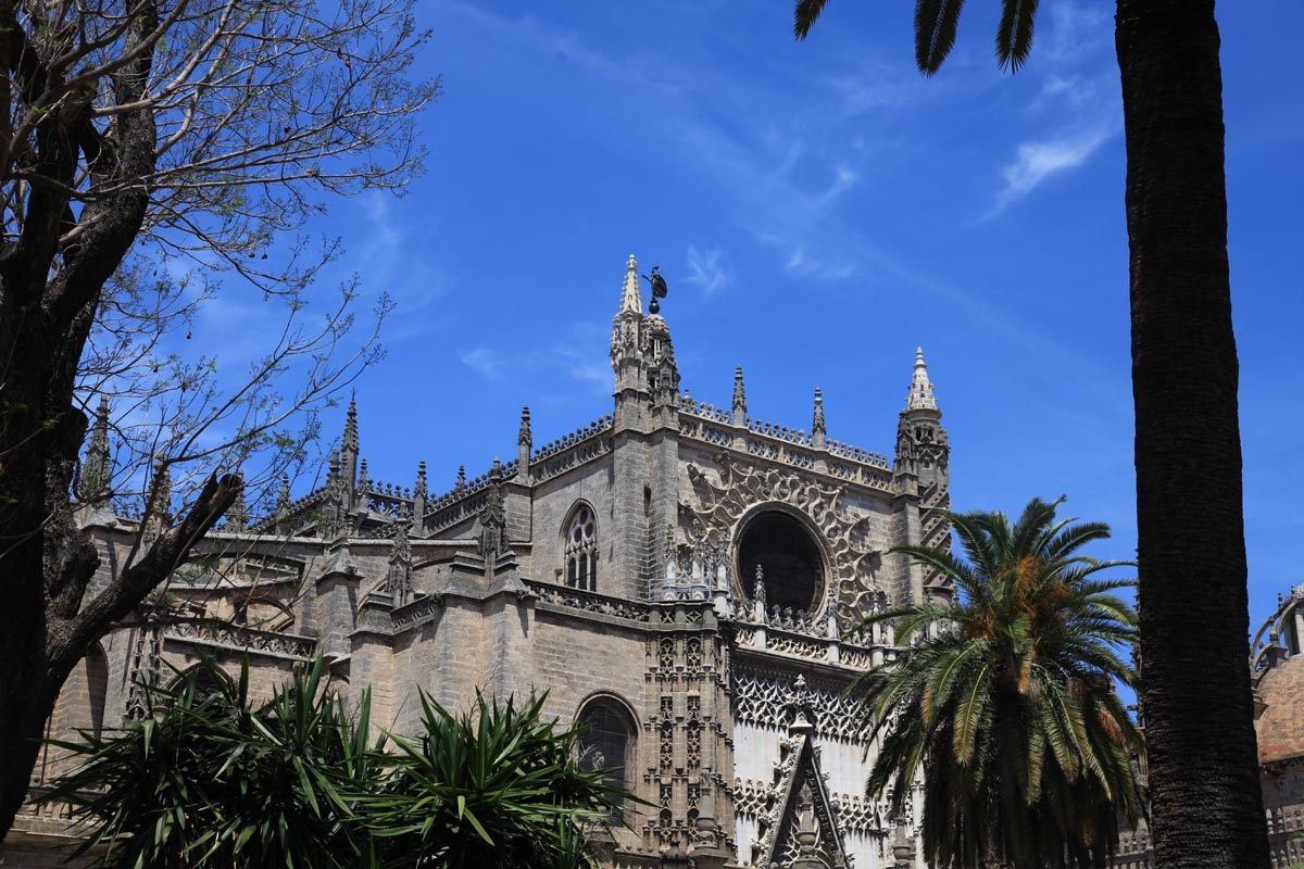 Kathedraal de Santa Maria de la Sede